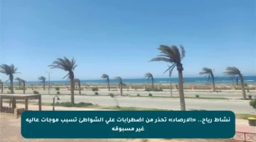 نشاط رياح.. «الأرصاد» تحذر من اضطرابات على الشواطئ تسبب موجات عالية غير مسبوقة